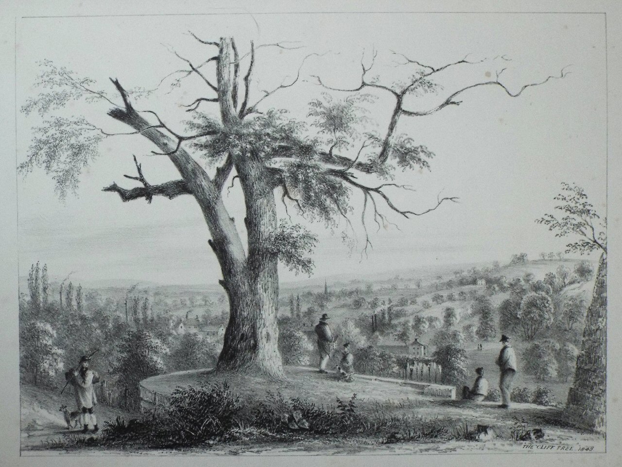 Lithograph - The cliff tree - Kilby